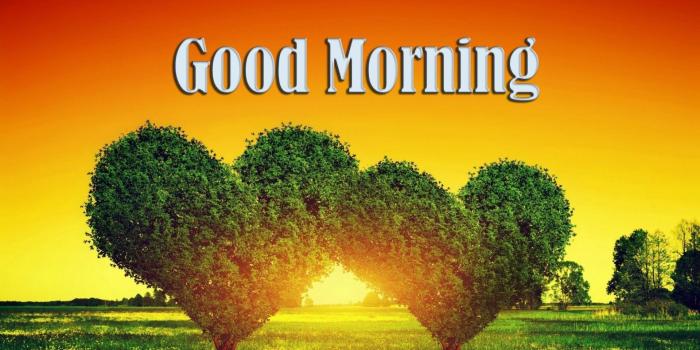 1920x1200 Nature Good Morning Wallpapers