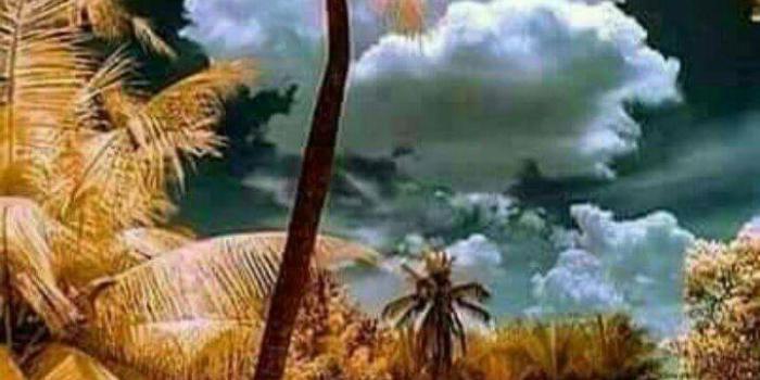 720x1280 Good Morning Nature Wallpaper by RabinDas76 - 41 - Free on ZEDGE™