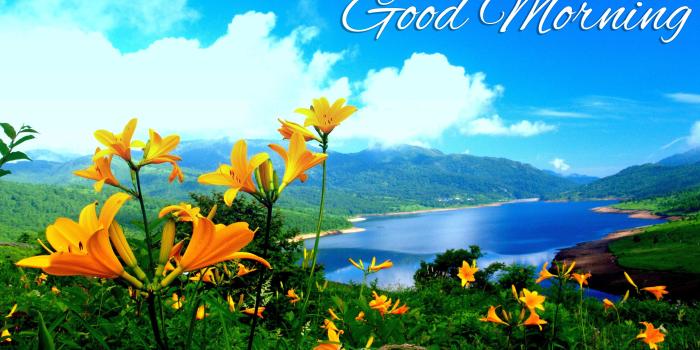 3648x2052 Yellow Flower Good Morning Wallpaper 26807 - Baltana