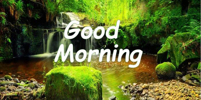 1024x768 Good Morning Nature Hd Wallpaper - Hd Wallpapers Good Morning