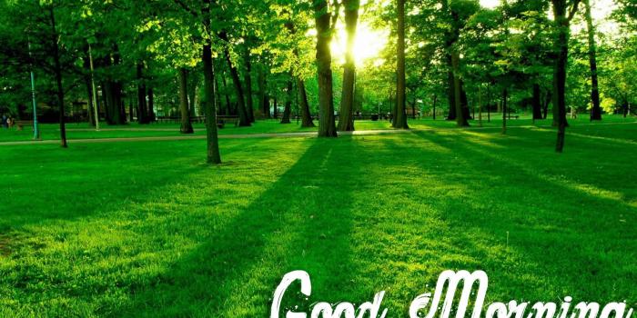 1600x1000 Beautiful Nature Good Morning Wallpaper 26796 - Baltana