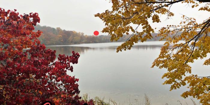 2643x1983 Good morning images and wallpapers of love, nature and quotes