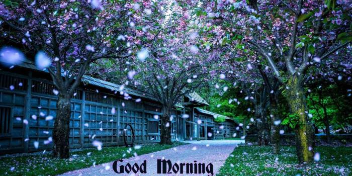 1920x1080 25+ Good Morning Nature Images