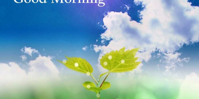 1600x1200 hd of good morning nature for pc full flowers here computer