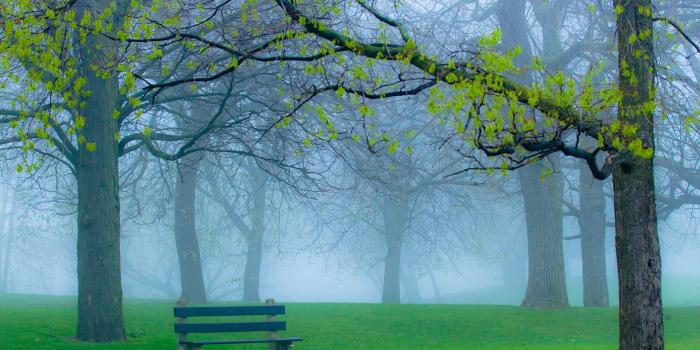 1680x1050 Good Morning Wallpapers HD Pictures – One HD Wallpaper Pictures