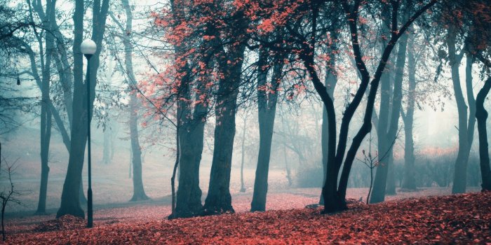 2560x1600 Fall Aesthetic Desktop Wallpapers - Top Free Fall Aesthetic Desktop