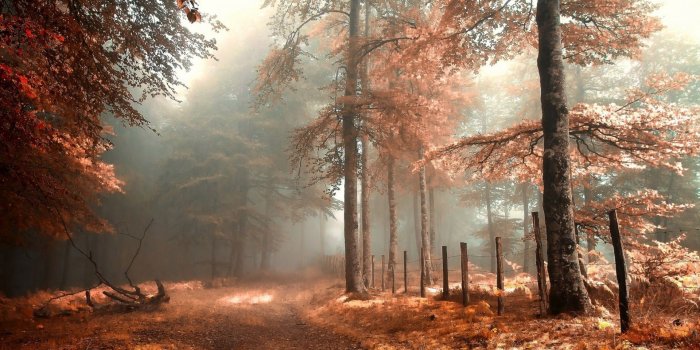 1920x1200 Aesthetic Autumn Wallpapers