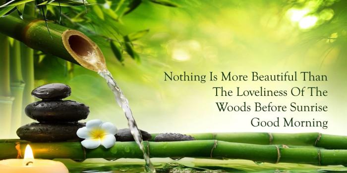 1920x1080 69+ Good Morning Wallpapers on WallpaperPlay