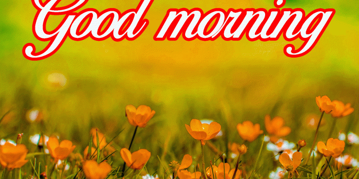 1920x1271 Gud Morning Images With Nature – Decent Fashion – India Best Images