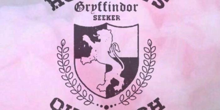 719x1280 Harry Potter Gryffindor Tie Iphone Wallpaper Beautiful - Iphone