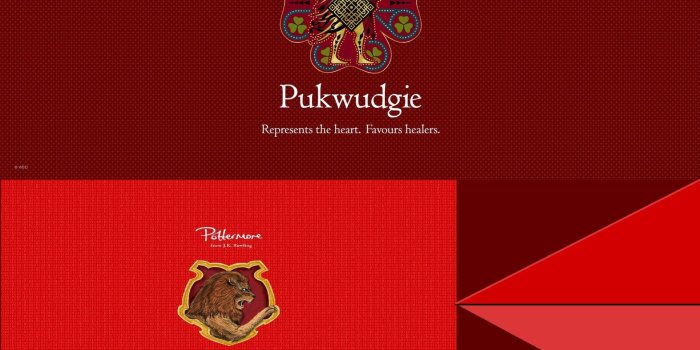 2099x1564 Harry Potter Gryffindor Wallpapers