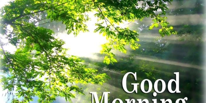 1024x797 Good Morning Nature Wallpaper(62+), Download HD Wallpapers