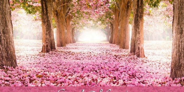 1280x1024 Beautiful Good Morning Nature Image Hd Download - twistequill