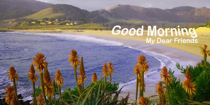 1920x1200 Good morning nature wallpapers and backgrounds | Wallpapers and