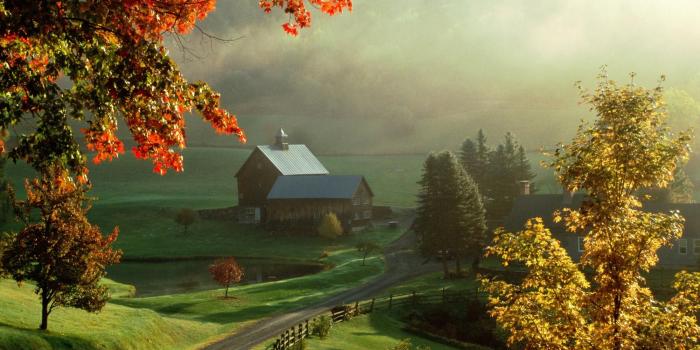 1999x1333 Trees House Expert Sunrise Photography Good Morning Early Beautiful