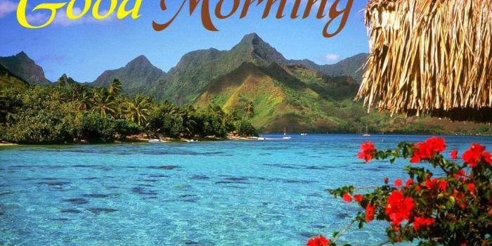 1024x768 Good Morning Nature Wallpaper (62+), Find HD Wallpapers For Free