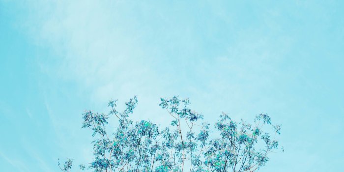 2880x5120 ⊱✧A.R✧⊰ @auroraraetana | Phone | Blue wallpapers, Wallpaper