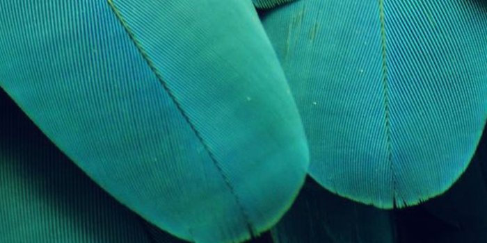 1125x2436 Iphone X - Teal And Green Aesthetic Free Wallpaper & Backgrounds