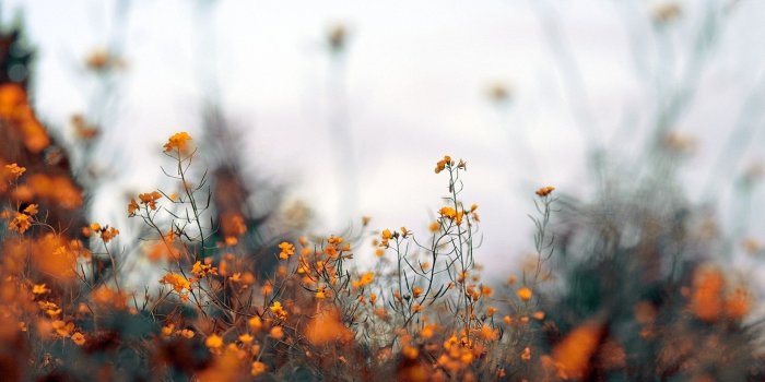 1920x1080 Elysa Roberts on Photography/Art in 2019 | Nature desktop