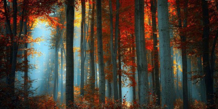 1920x1080 Fall Aesthetic Desktop Wallpapers - Top Free Fall Aesthetic Desktop