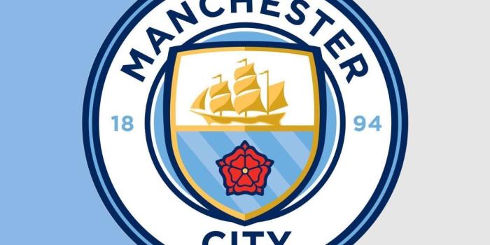 1152x2048 Man City & Bee wallpaper iPhone #manchester #mancity #manchestercity