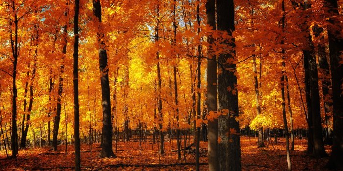 2560x1600 Fall Aesthetic Wallpapers - Top Free Fall Aesthetic Backgrounds