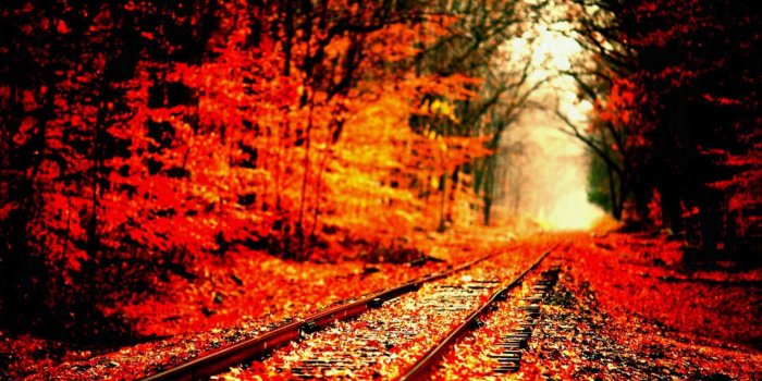 1920x1080 Elegant Fall Aesthetic Halloween - coloradorockiescp.com