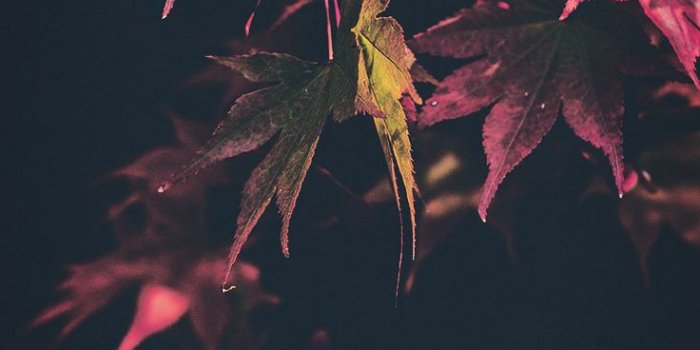 736x1308 15 Gorgeous Happy Fall iPhone X Wallpapers | Preppy Wallpapers