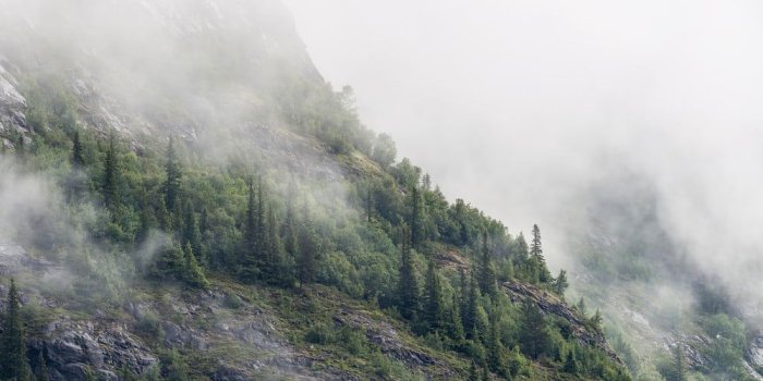 1600x500 Desktop Wallpapers | Find the perfect wallpaper for your desktop at