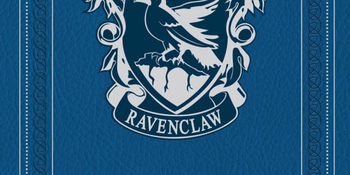 1200x1874 Harry potter ravenclaw hardcover ruled journal 9781608879496 hr …