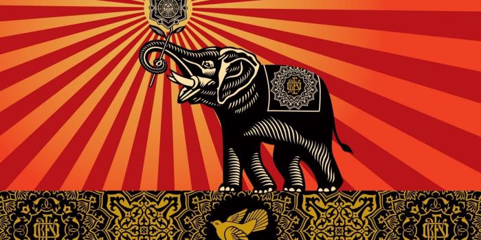 2500x1562 74+ Obey Hd Wallpapers on WallpaperPlay