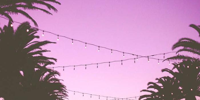 736x1308 10 Super Pretty iPhone X Wallpapers | Preppy Wallpapers