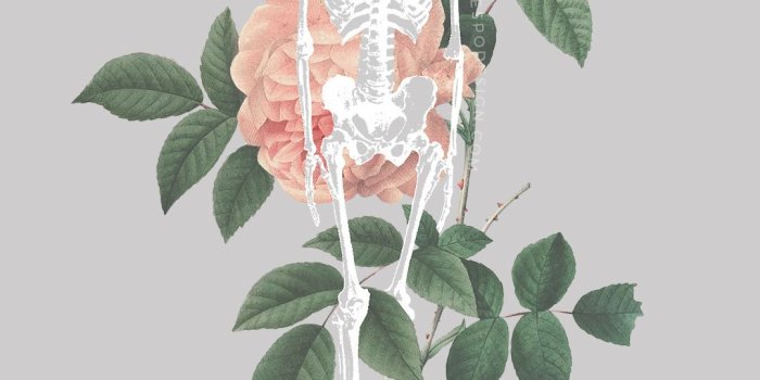 1080x1920 Cute Iphone Wallpapers Tumblr