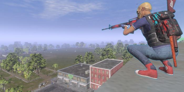 1440x900 Probably The Best H1z1 Wallpaper Ever Made - Pc Game (#259690) - HD