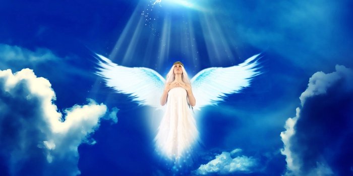 2560x1440 55+ Angel Desktop Wallpapers - Download at WallpaperBro