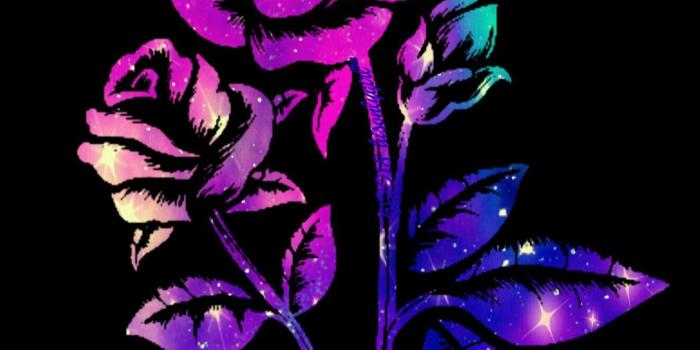 1321x2315 Flower of love galaxy wallpaper I created! | Galaxy | Galaxy