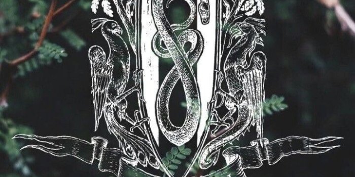 719x1280 Image about green in Slytherin Aesthetics 