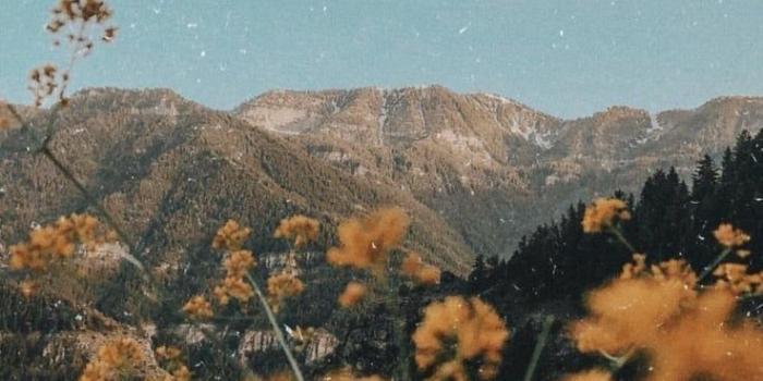 737x1280 Image about vintage in aesthetic by jay on We Heart It