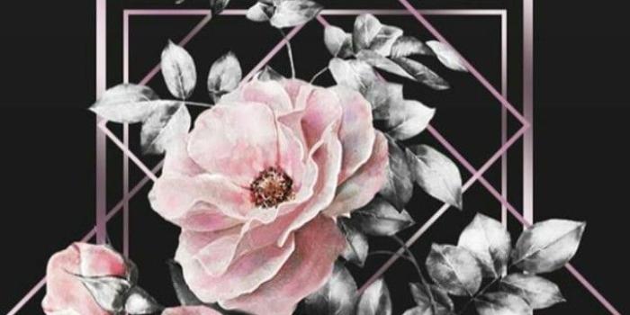 720x1336 Aesthetic Flowers Wallpapers