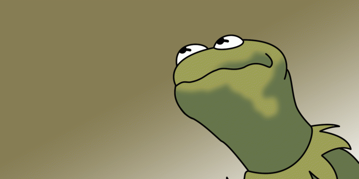 1440x900 Kermit Wallpapers