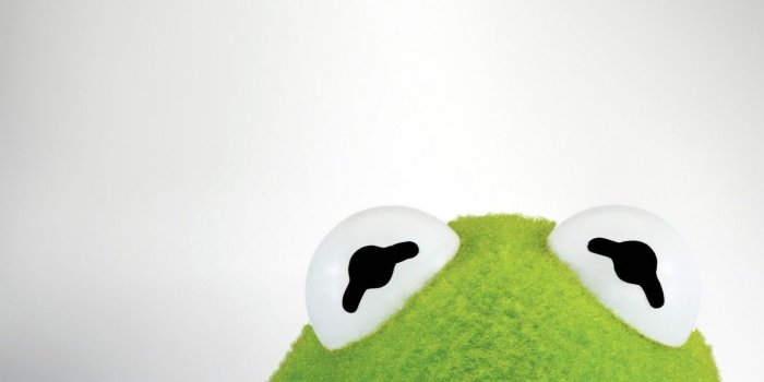 1366x768 Download Kermit Wallpaper (56) - mariacenoura.pt
