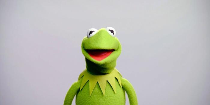 1280x720 Kermit the Frog | Know Your Meme