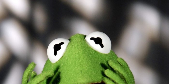 1920x1080 Kermit The Frog Wallpaper ,free download, (35) - cerc-ug.org