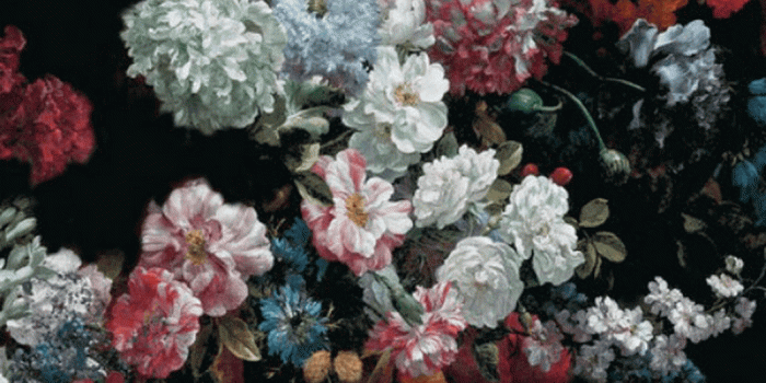 1060x1882 Floral Background Aesthetic