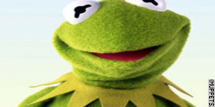 1920x1200 Laptop Supreme Kermit Frog Wallpaper