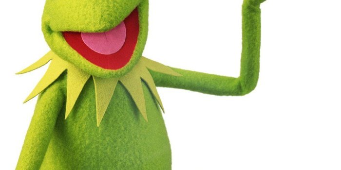 1000x917 Kermit The Frog Supreme Wallpaper Group (48+)