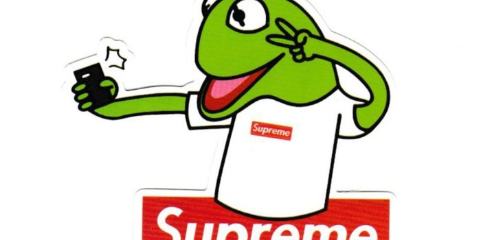 2570x2560 cafa6411 #1930 Supreme Kermit The Frog Selfie , 9 x 8.5 cm decal