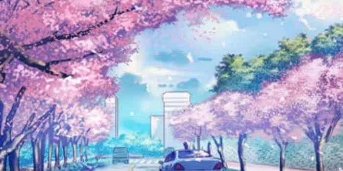 700x1244 ▷ 1001 + spring wallpaper images for your phone and desktop computer