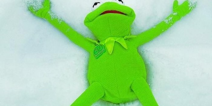 720x1280 Kermit The Frog Wallpaper Iphone