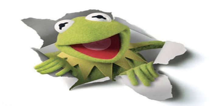 2560x1440 Kermit the Frog Wallpaper (53+ images)